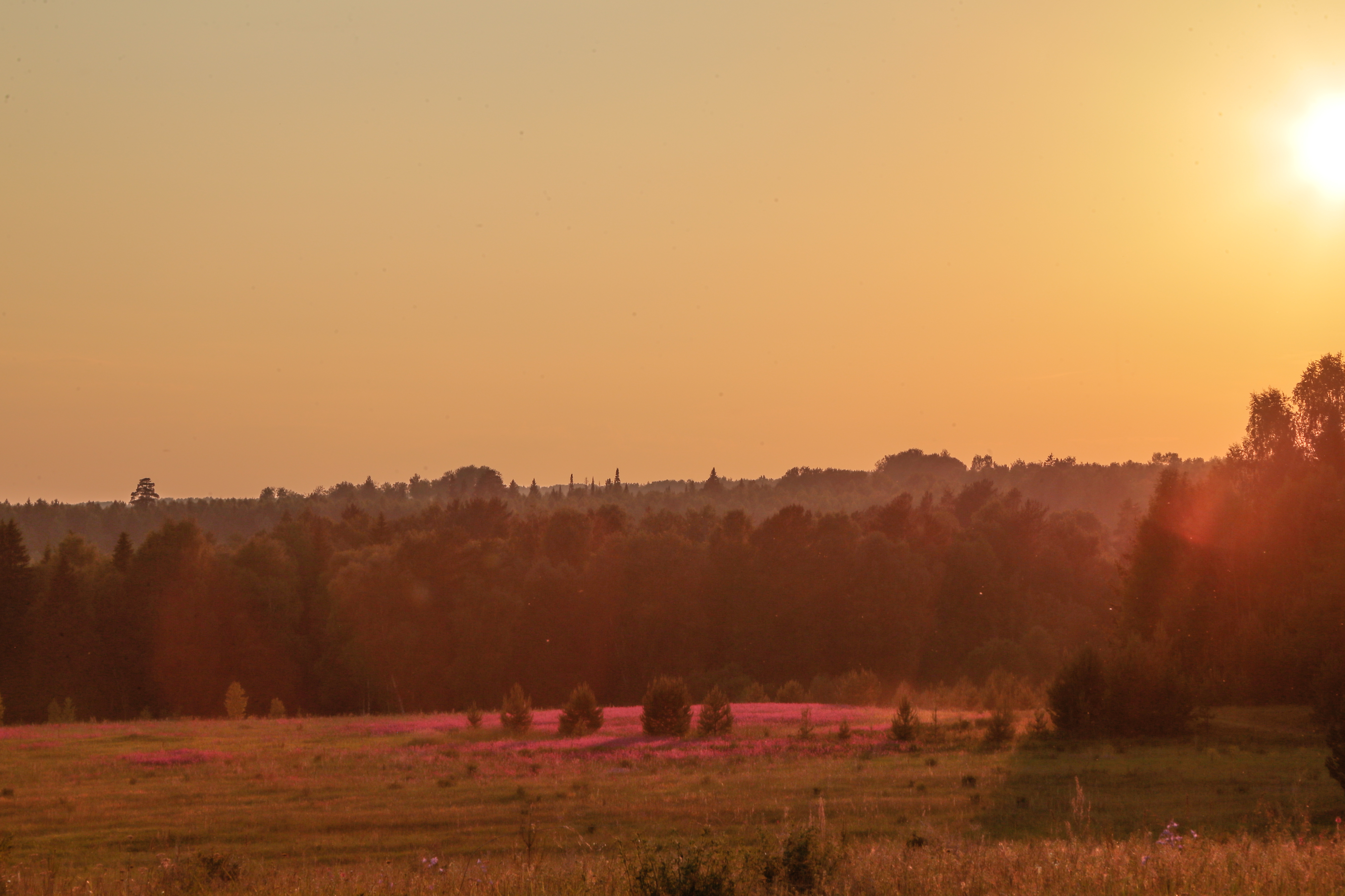 Тихий вечер в усадьбе