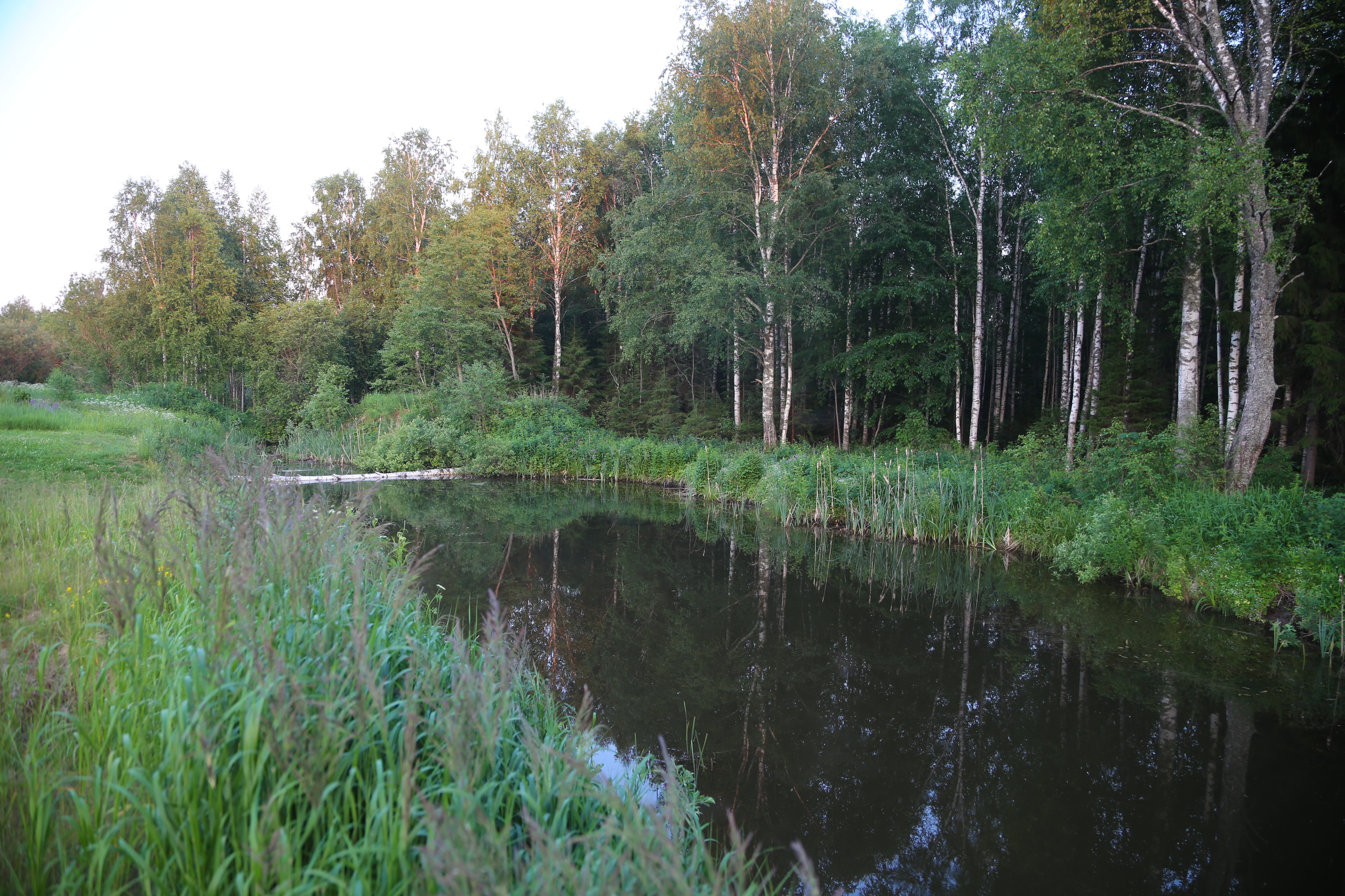 Природа и пространство