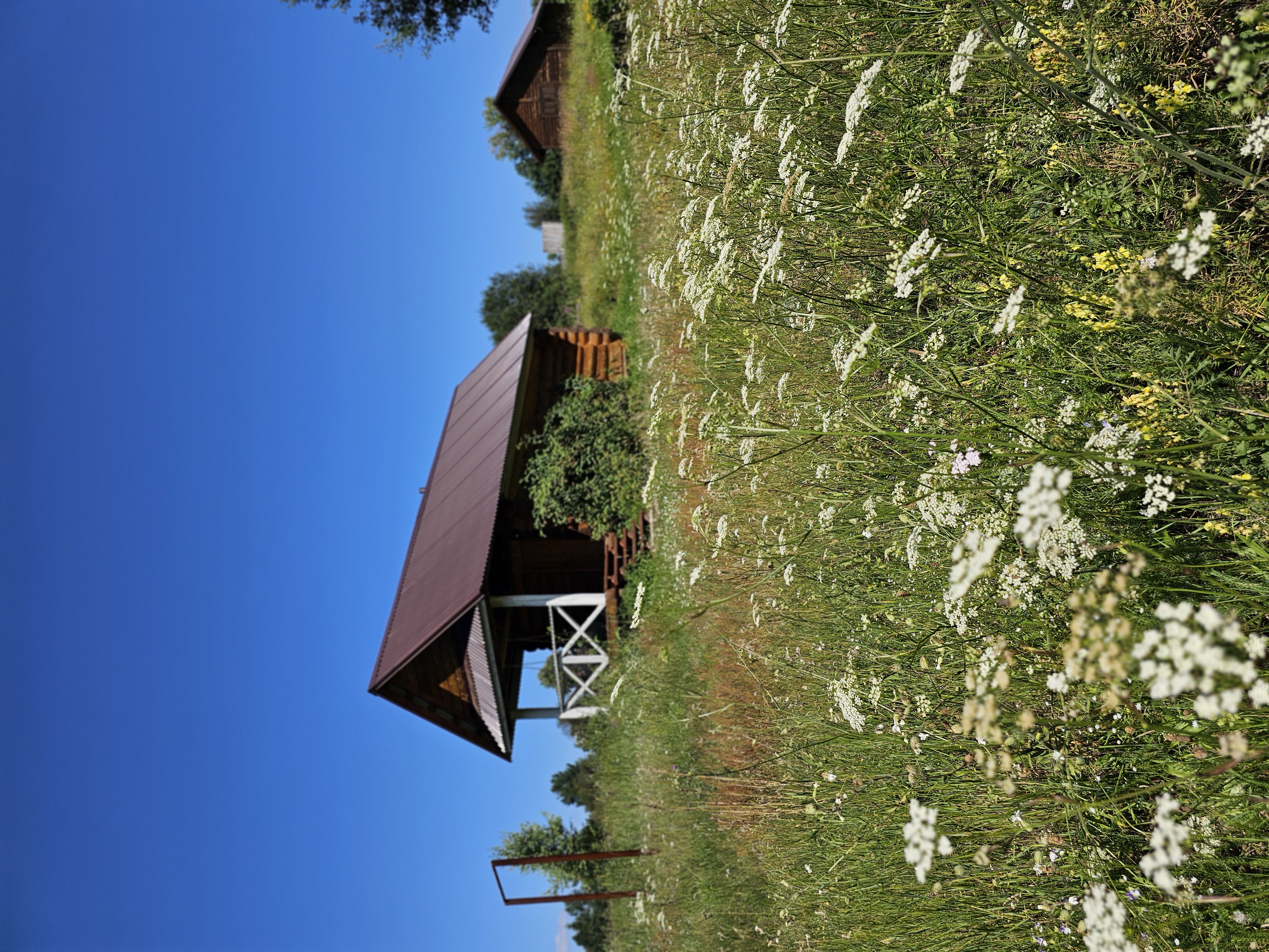 Терапевтическая среда