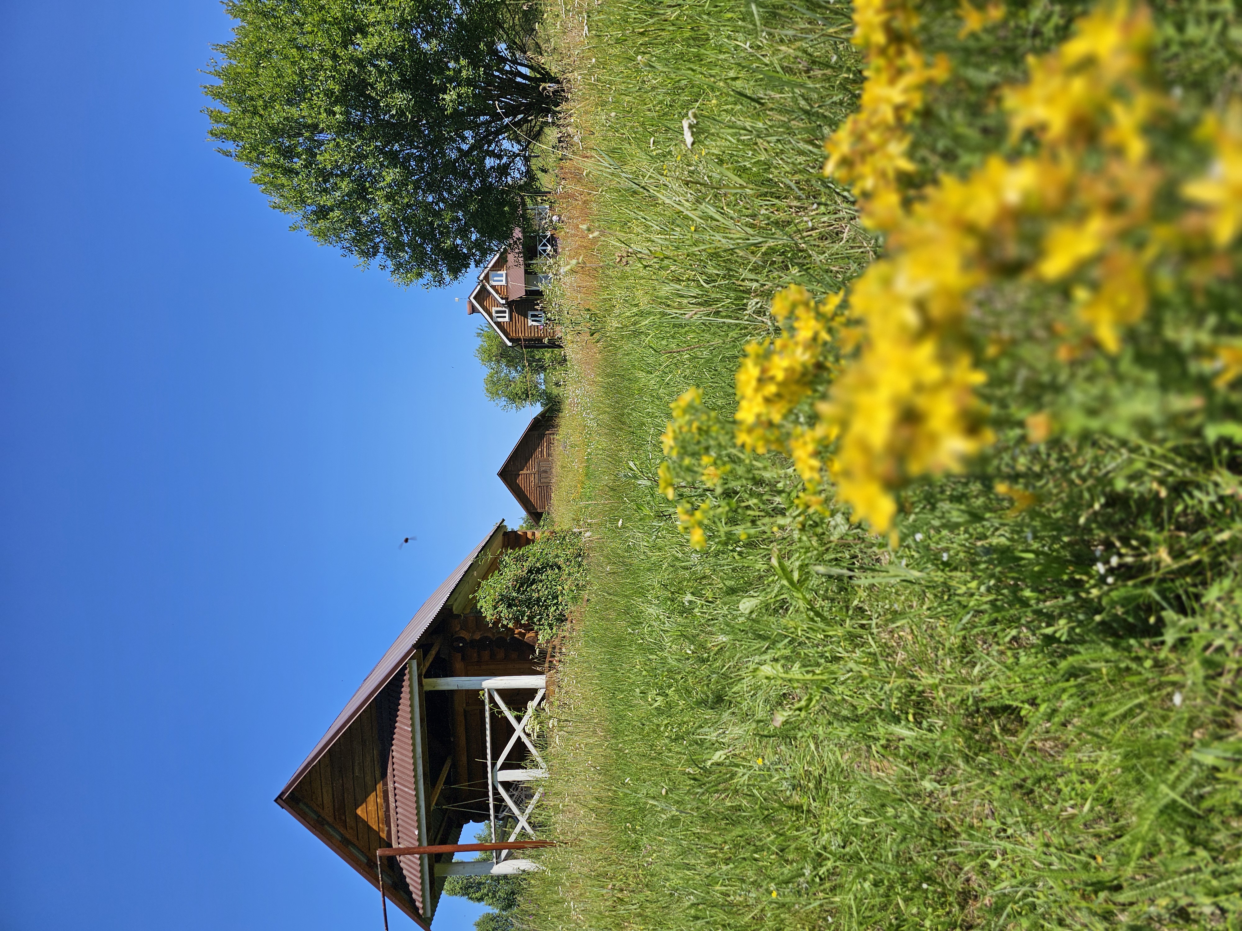 Природа и солнечный свет